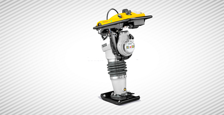 Compactadora Bailarina Wacker Neuson BS60-2i Nueva